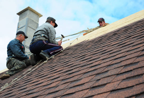 Best Affordable Roofing Company  in Clifton Forge, VA